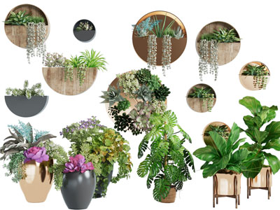 现代花盆盆栽植物、吊篮绿植3d模型 现代花盆盆栽植物、吊篮绿植