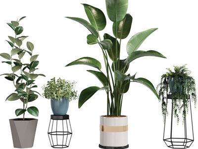 现代花架花盆盆栽植物