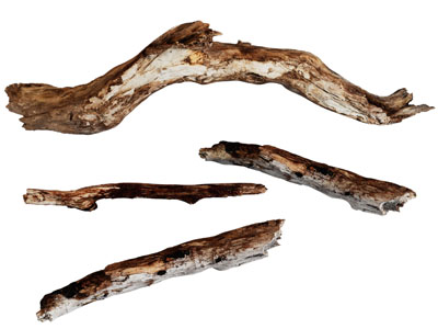 现代枯干的木头