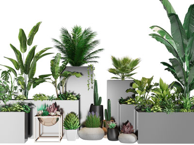 现代方形户外花盆盆栽植物