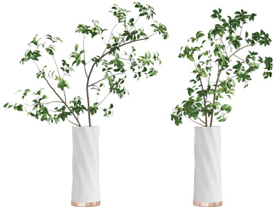 现代陶瓷花瓶树枝