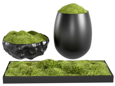 现代圆形方形花盆花草盆栽植物