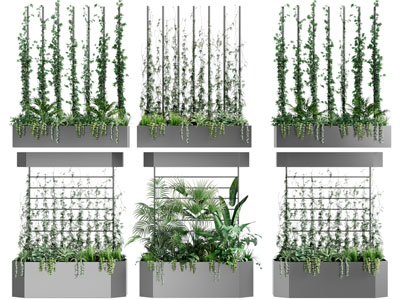 现代藤蔓植物、背景墙