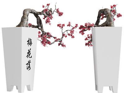新中式梅花盆景盆栽