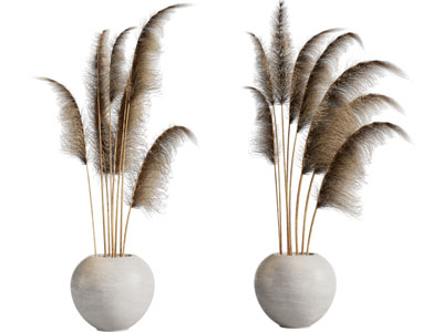 侘寂风陶艺花盆、芦苇摆件