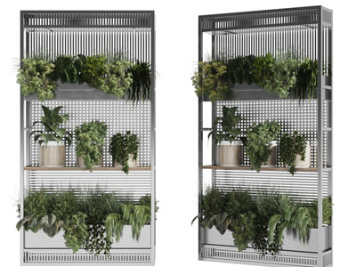 现代金属盆栽植物收纳展示架