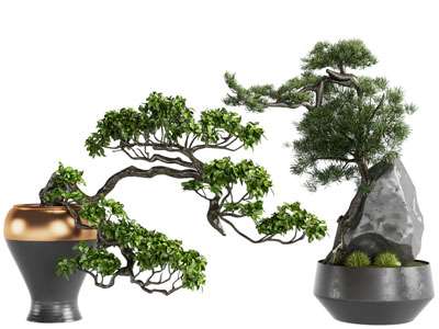 新中式盆景盆栽