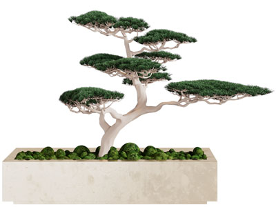 新中式松树景观园艺小品