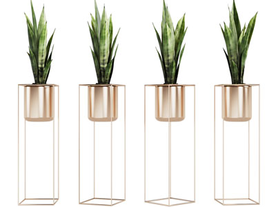 现代轻奢花架盆栽植物