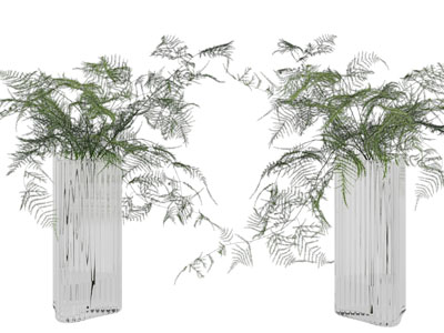 现代条纹玻璃花瓶文竹植物