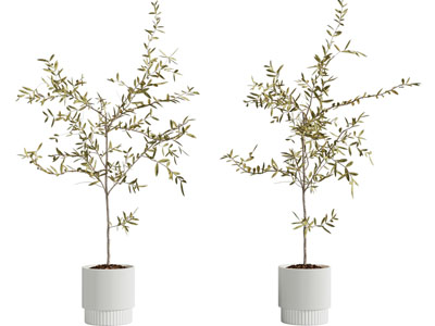 现代条纹花盆盆栽植物