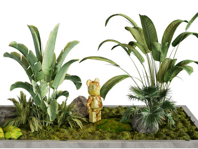 现代花草、芭蕉景观园艺小品