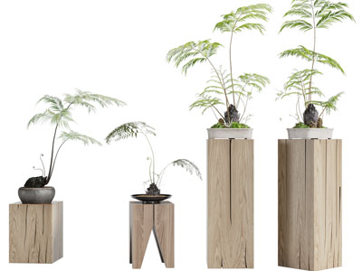 新中式实木花架盆景盆栽