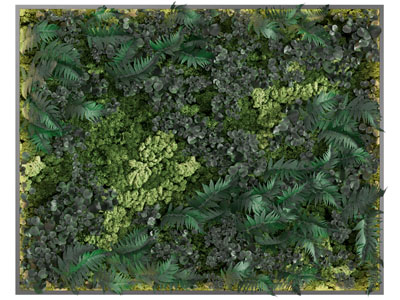 现代方形植物装饰挂画