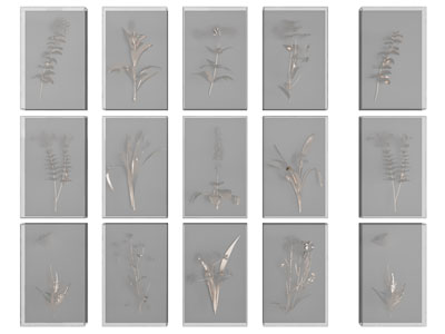 现代植物装饰挂画