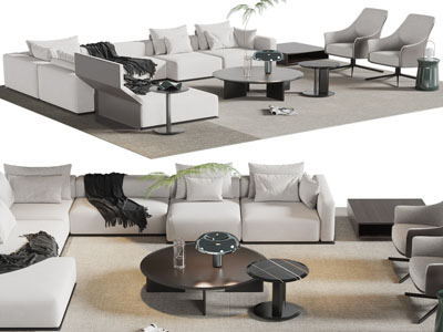 现代多人沙发，休闲椅子和茶几组合