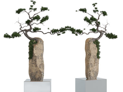 新中式松树盆景盆栽