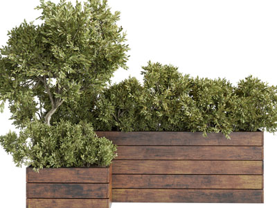 现代户外实木花盆盆栽植物