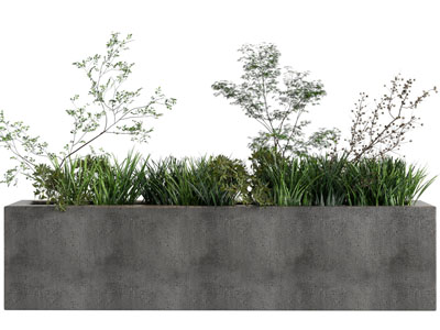 现代长方形水泥花坛盆栽植物