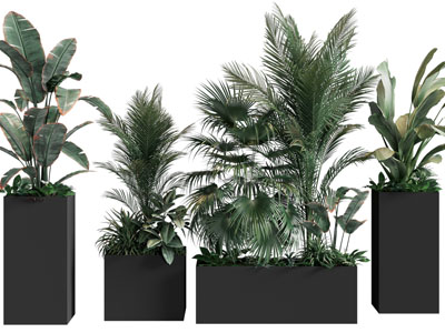 现代花盆盆栽植物