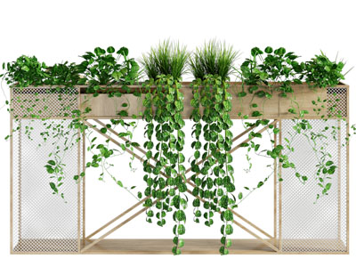 现代花架藤蔓盆栽植物