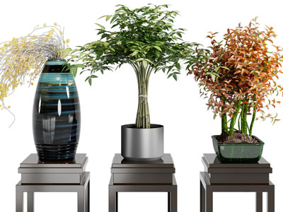 新中式花架、花瓶盆景盆栽植物