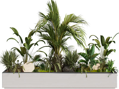 现代花坛绿植景观园艺小品