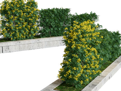 现代花坛花草植物景观园艺小品