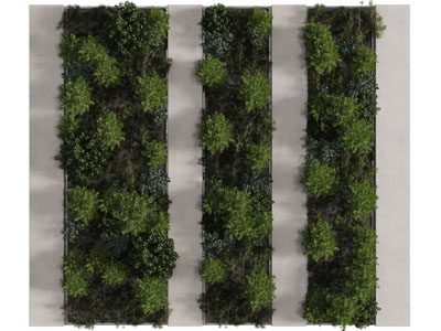 现代装饰植物的水泥植物墙