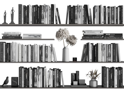 现代隔板上的书籍