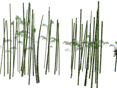 新中式竹子、竹竿