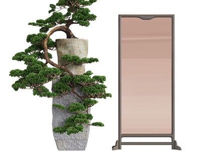 新中式松树盆景盆栽