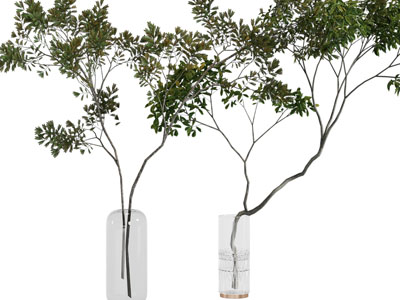 现代玻璃花瓶、树枝摆件