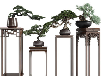 新中式实木花架盆景盆栽