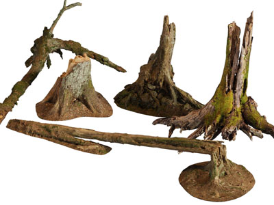 几段枯干碎裂的树枝