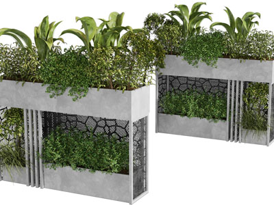 现代户外花盆盆栽植物