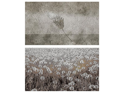 侘寂风装饰挂画