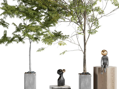 现代水泥花盆盆栽植物