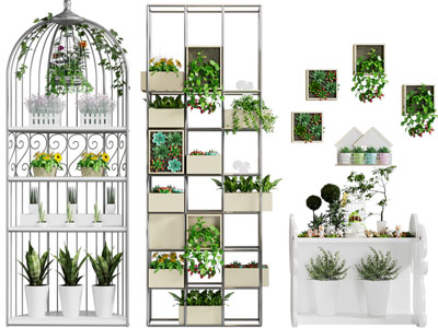 现代铁艺花架、盆栽植物