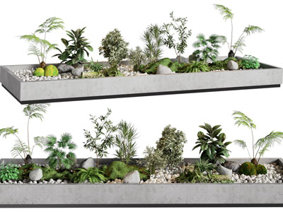 现代花坛花草植物景观园艺小品