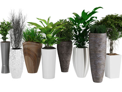 现代加高花盆盆栽植物