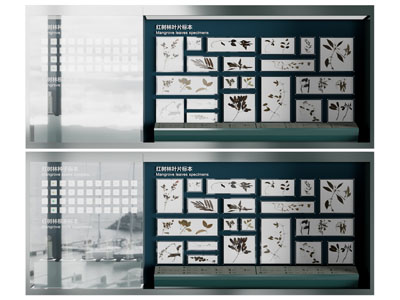 现代植物标本展示背景墙3d模型 现代植物标本展示背景墙