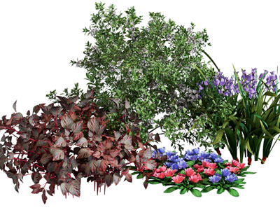 现代花草花卉植物