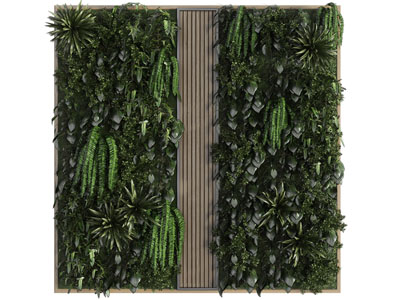 现代装饰木框的方形植物墙