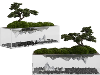 新中式松树盆景