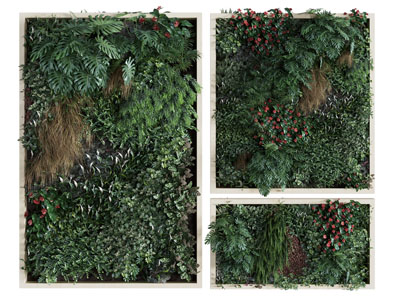 现代长方形实木边框的装饰植物墙挂画