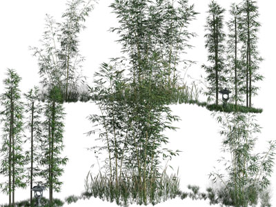 新中式花草竹子植物