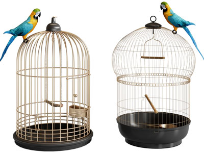 新中式鹦鹉鸟笼