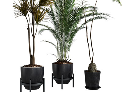 现代灰色花盆花架盆栽植物