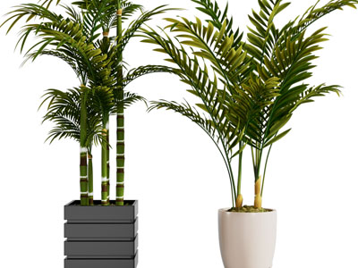 现代方形花盆盆栽植物